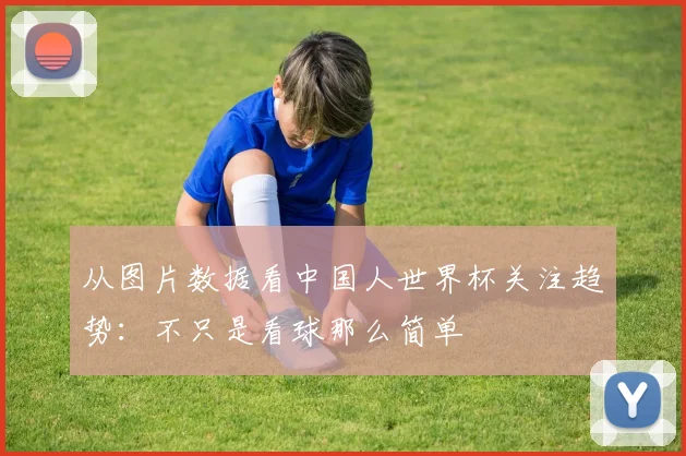 从图片数据看中国人世界杯关注趋势：不只是看球那么简单